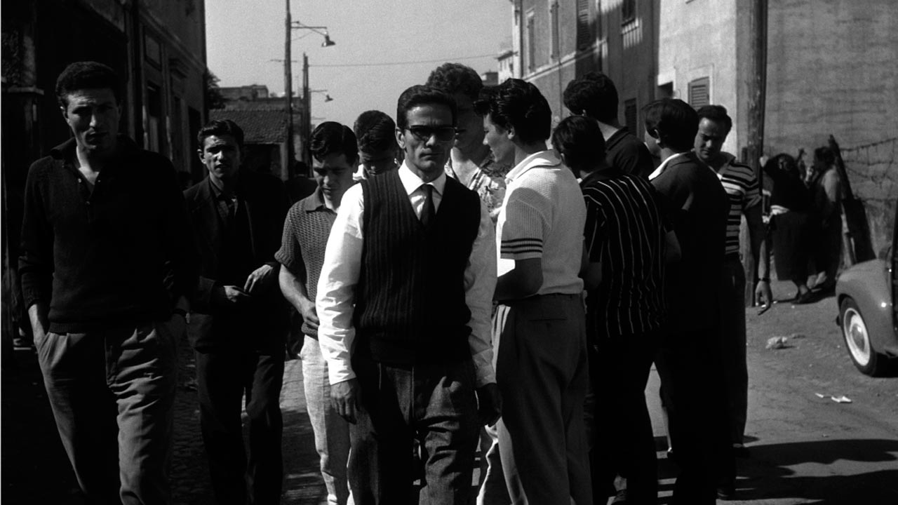 Profezia. L'Africa di Pasolini : Foto