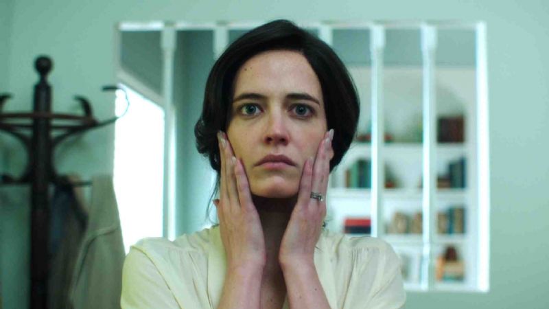 White Bird in a Blizzard : Foto