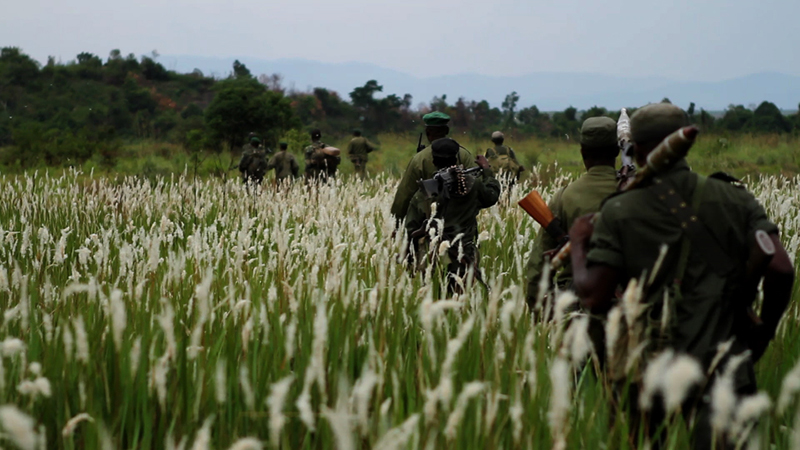 Virunga : Foto
