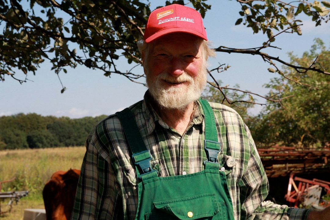 Vendrán tiempos mejores : Foto