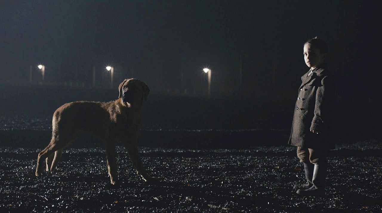 Desnudo entre lobos : Foto