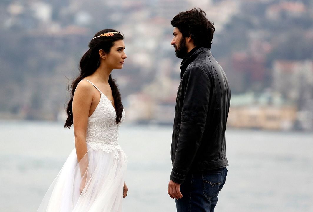 Amor de contrabando : Foto