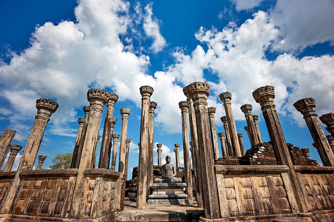 El reino de los monos : Foto