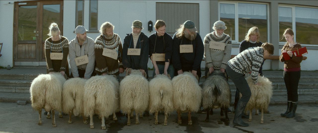 Rams (El valle de los carneros) : Foto Sigurður Sigurjónsson, Theodór Júlíusson