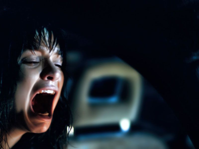 Lemon Tree Passage : Foto