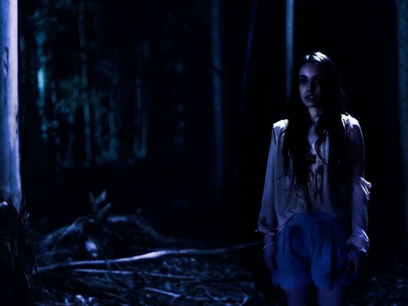 Lemon Tree Passage : Foto