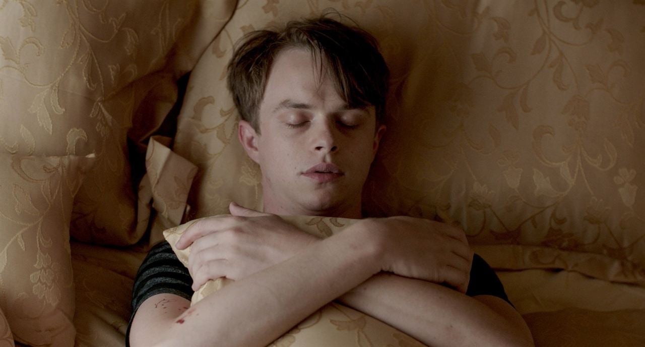 Amor zombie : Foto Dane DeHaan