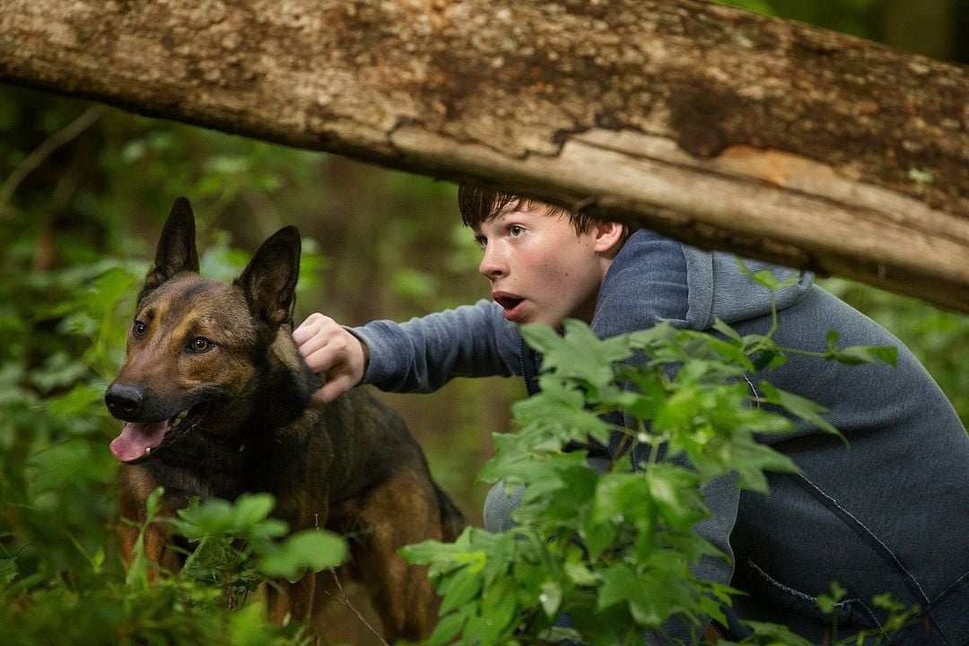 Max : Foto Josh Wiggins