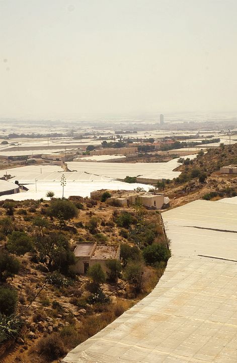 Mar de plástico : Foto