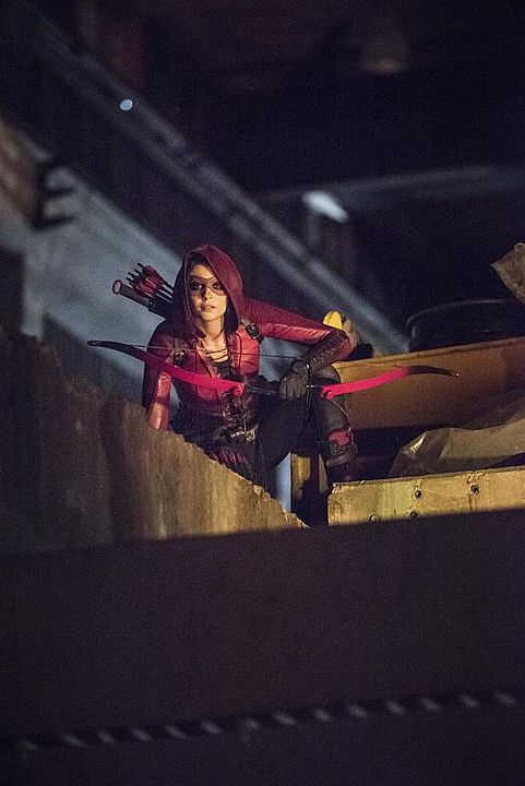 Arrow : Foto Willa Holland
