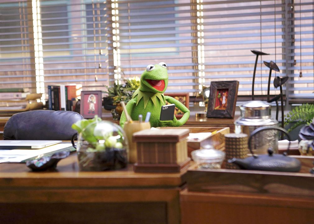 The Muppets : Foto