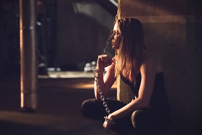 Arrow : Foto Caity Lotz