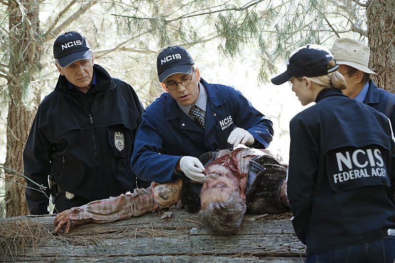 NAVY: Investigación criminal : Foto Brian Dietzen, Mark Harmon