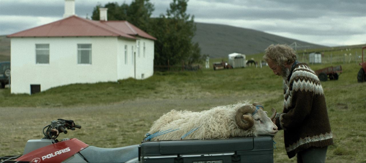 Rams (El valle de los carneros) : Foto Sigurður Sigurjónsson