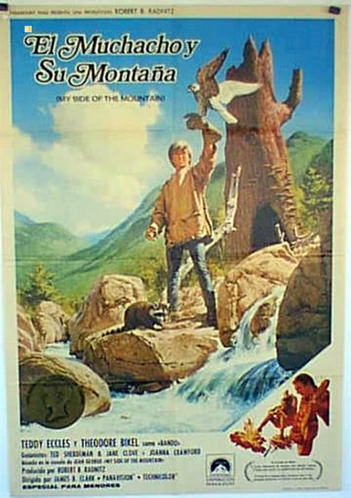 El muchacho y su montaña : Cartel