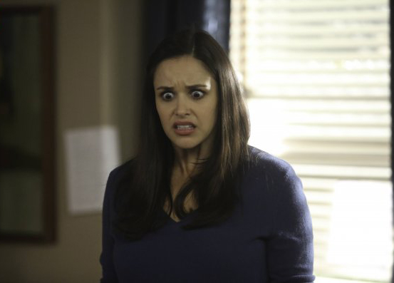 Brooklyn Nine-Nine : Cartel Melissa Fumero