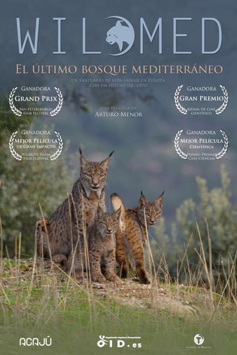 WildMed, el último bosque mediterráneo : Cartel