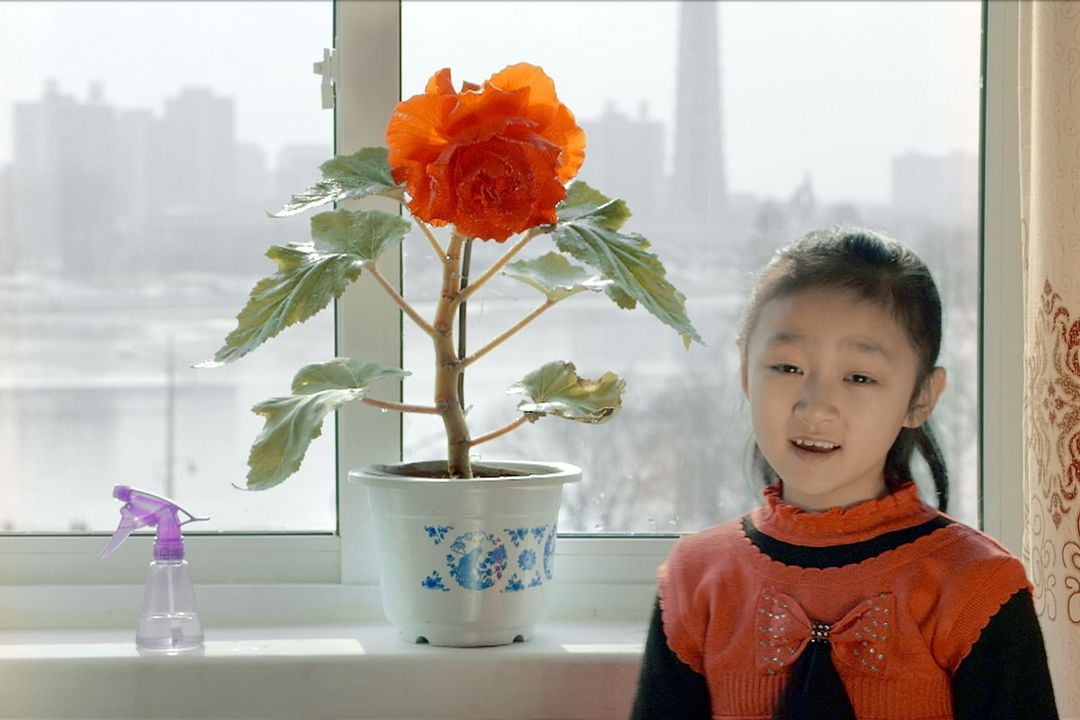 Under the Sun : Foto