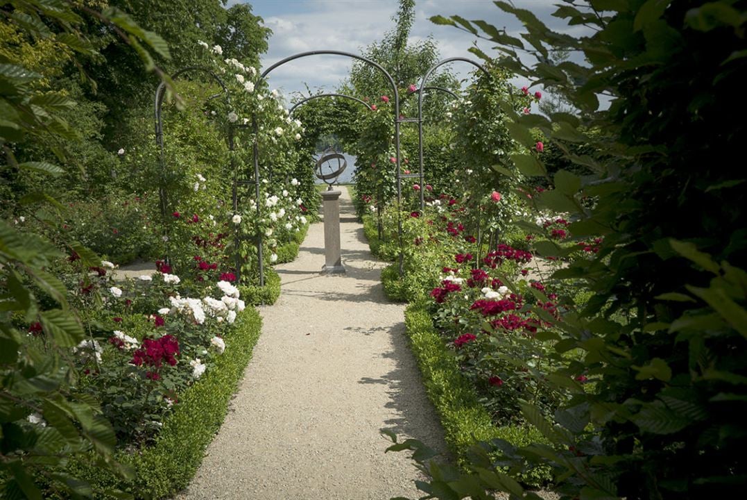 Pintando el jardín moderno: De Monet a Matisse : Foto