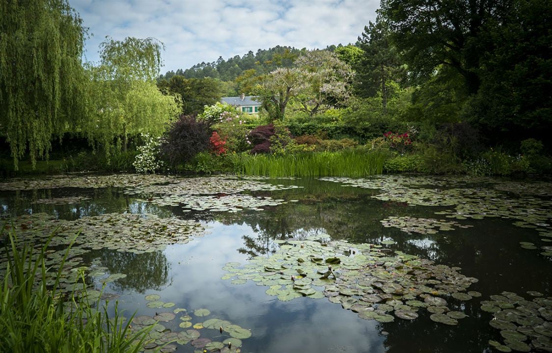 Pintando el jardín moderno: De Monet a Matisse : Foto