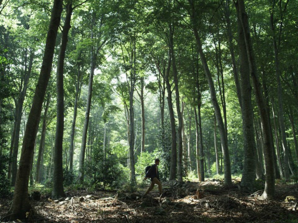 Todos los caminos de Dios : Foto