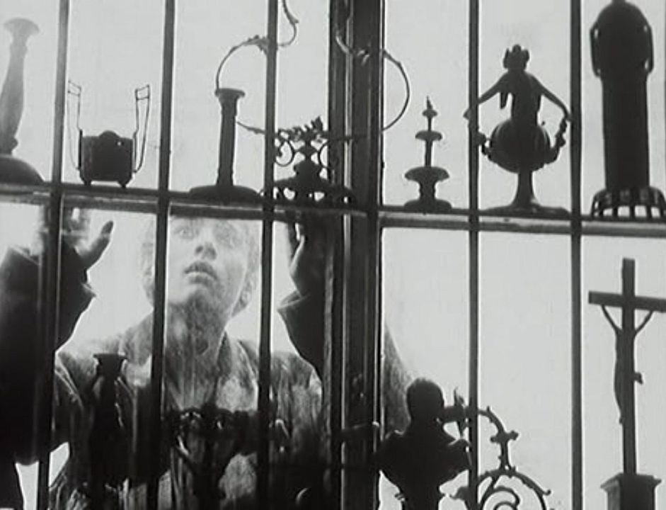 Diamantes de la noche : Foto