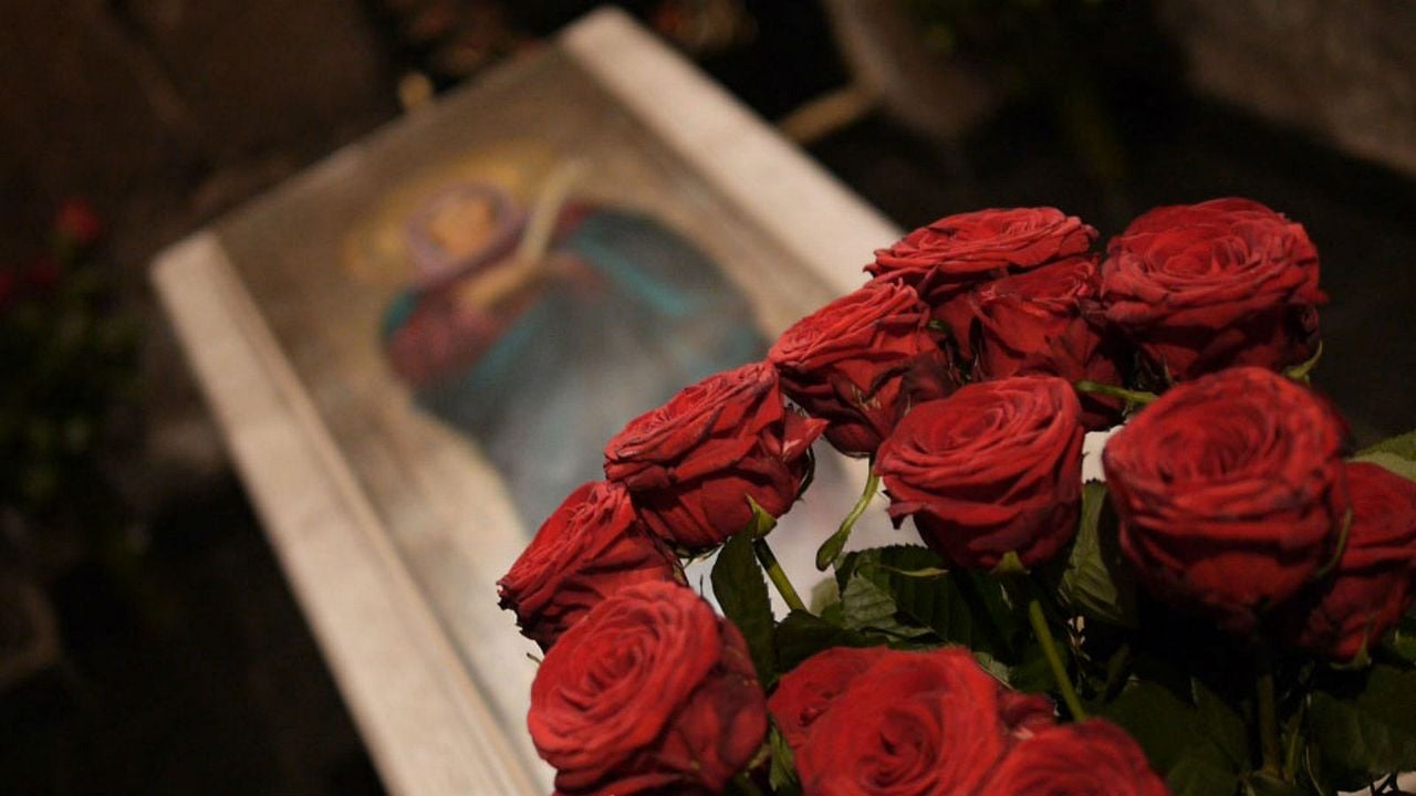 Telas en las ramas : Foto