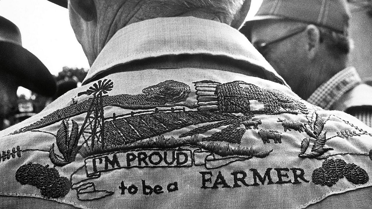 Look & See: A Portrait of Wendell Berry : Foto