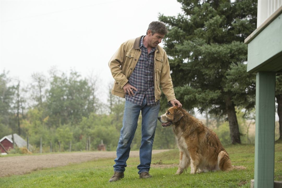 Tu mejor amigo : Foto Dennis Quaid