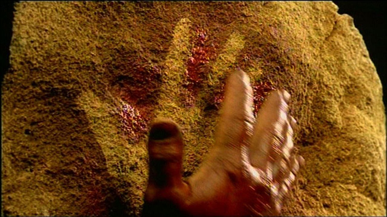 Altamira: Desde siempre para siempre : Foto