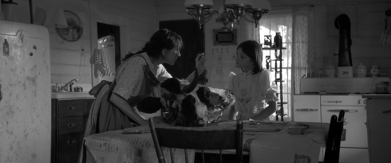 The Eyes Of My Mother : Foto