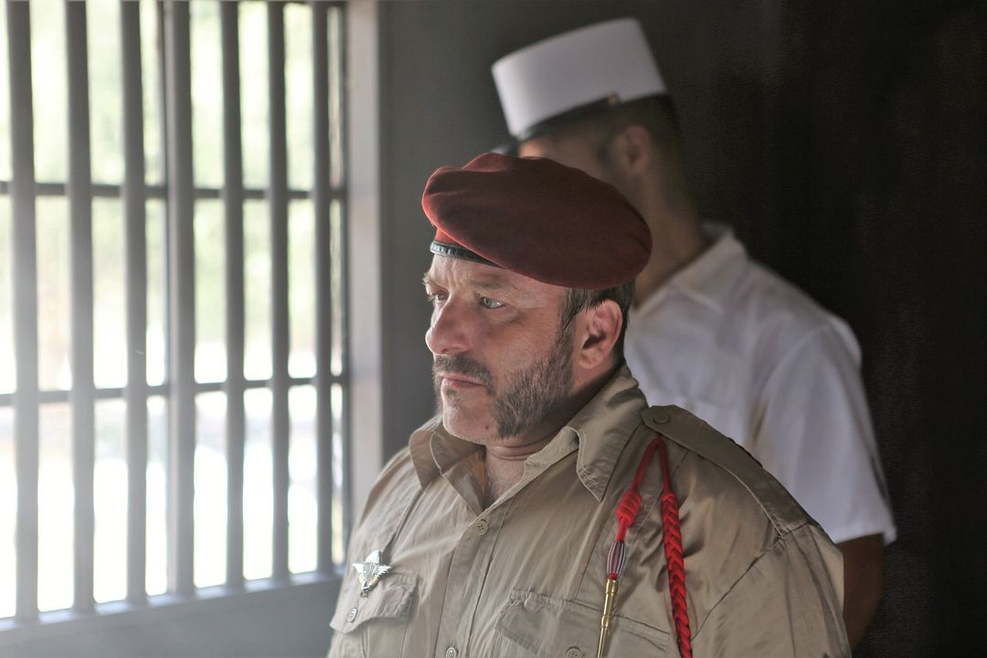 Perro salvaje : Foto