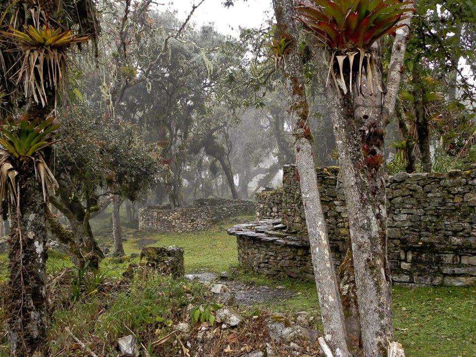 El sueño de Antonio Raimondi: El Perú : Foto