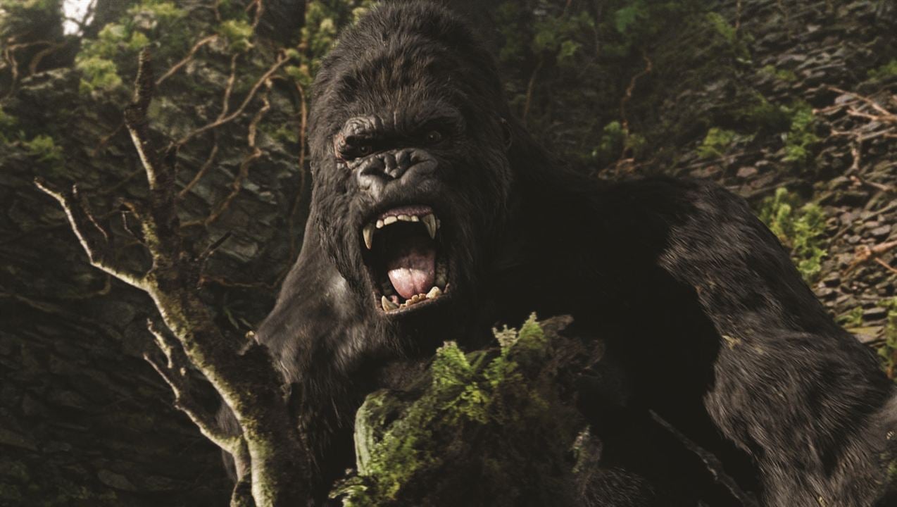 King Kong : Foto