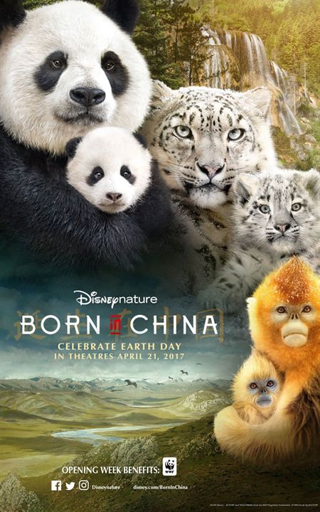 Nacidos en China : Cartel