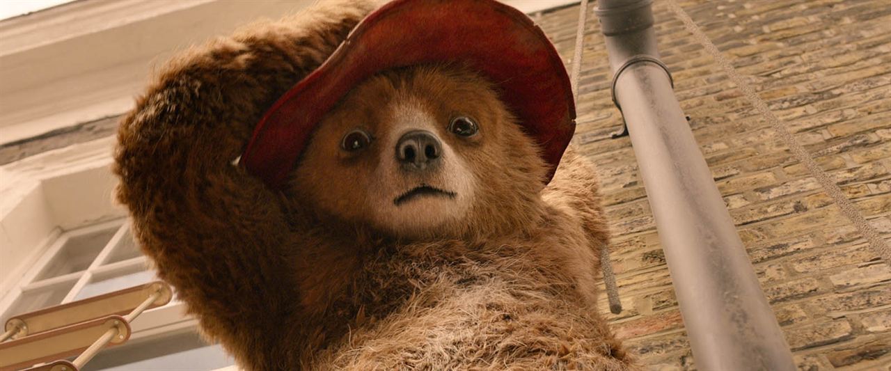 Paddington 2 : Foto