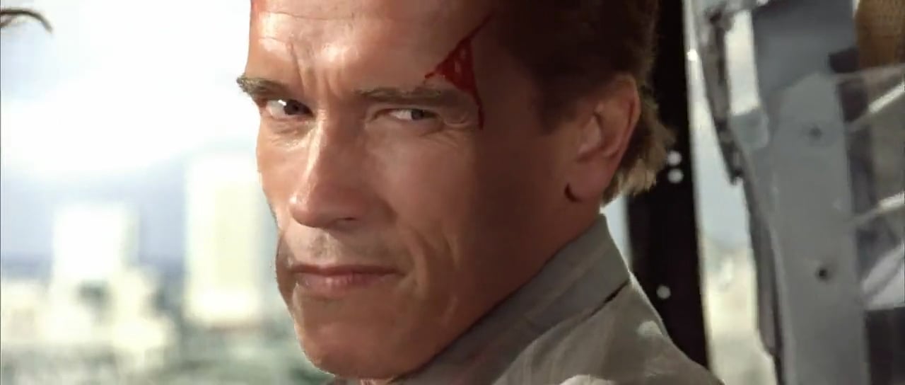 Mentiras arriesgadas : Foto Arnold Schwarzenegger