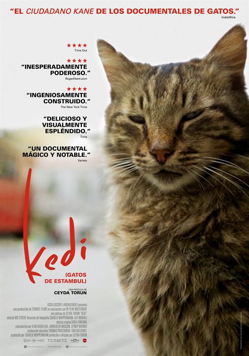 Kedi (Gatos de Estambul) : Cartel