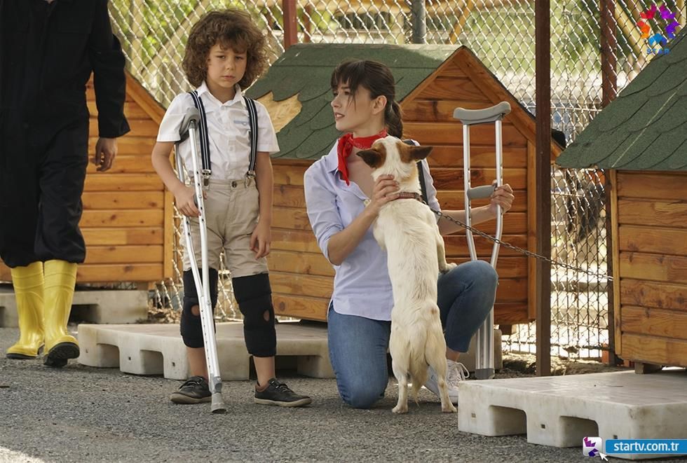 Dolunay (Luna Llena) : Foto