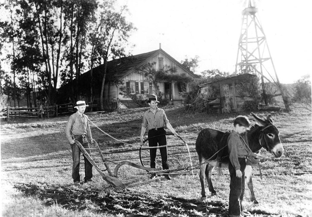 El pan nuestro de cada día : Foto