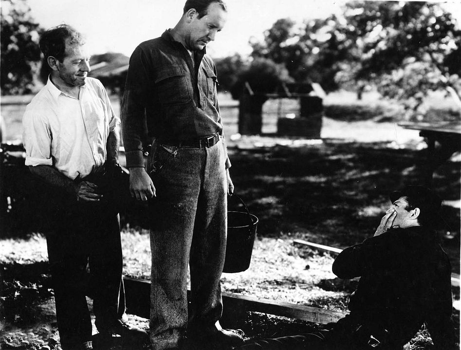 El pan nuestro de cada día : Foto