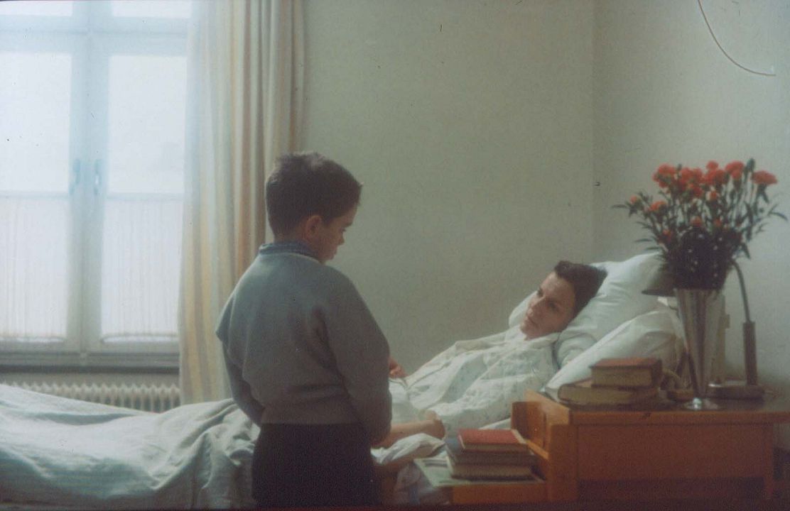 Mi vida como un perro : Foto