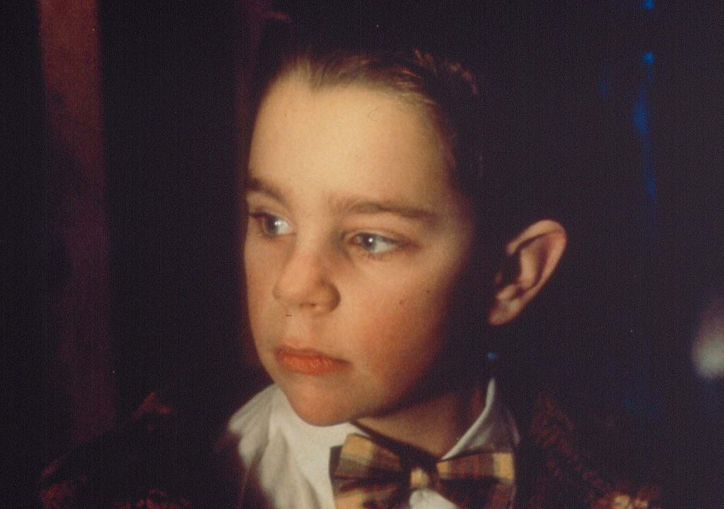 Mi vida como un perro : Foto