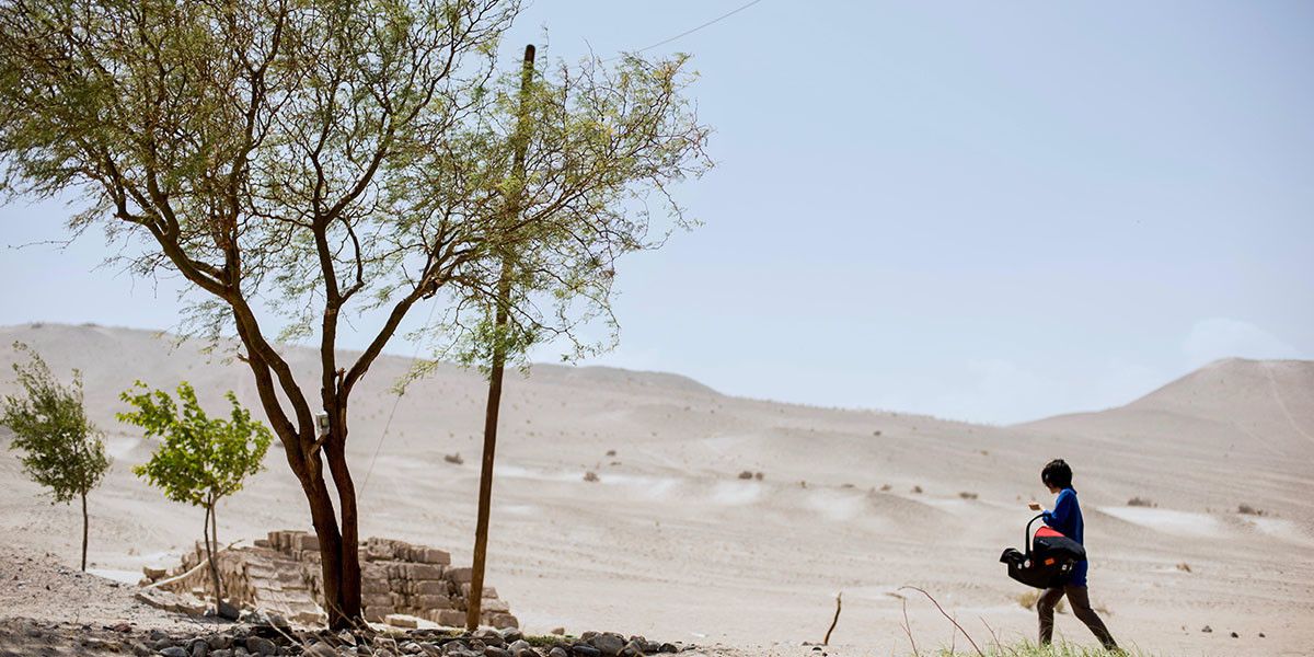 Una Especie de Familia : Foto