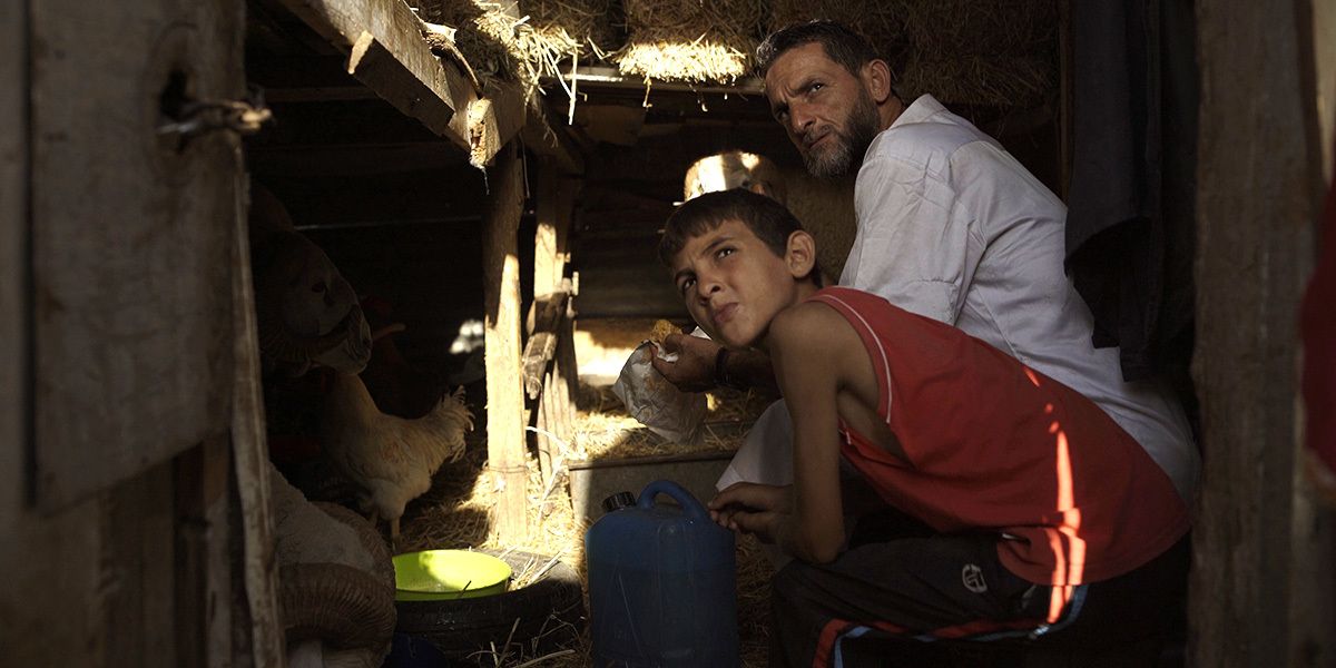 Ovejas y hombres : Foto