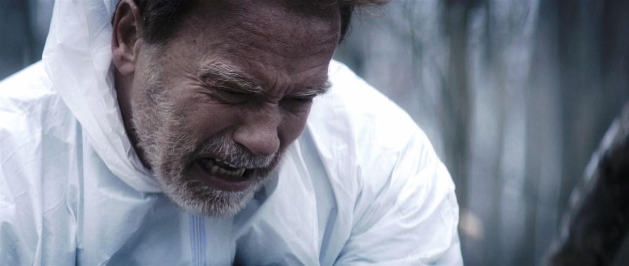 Una historia de venganza : Foto Arnold Schwarzenegger