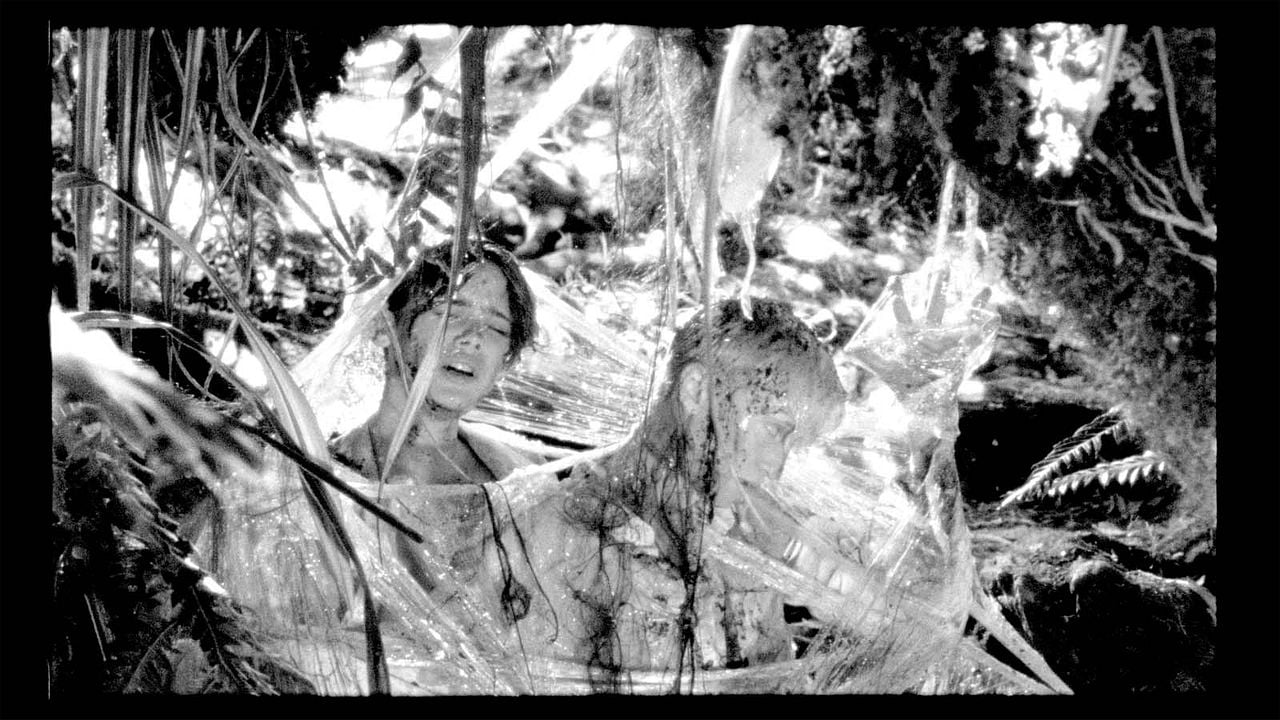 Foto Mathilde Warnier