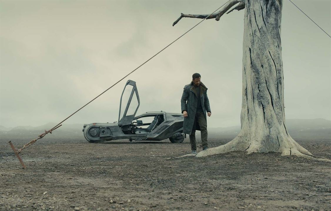 Blade Runner 2049 : Foto Ryan Gosling