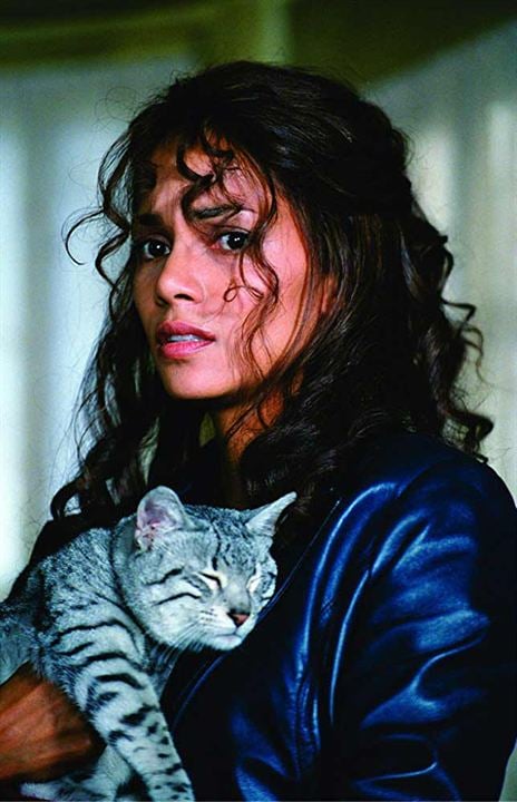 Catwoman : Foto Halle Berry