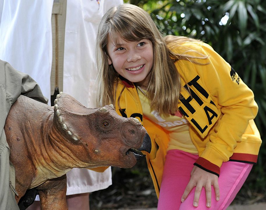 Liberad a Willy 4: Aventuras en Sudáfrica : Foto